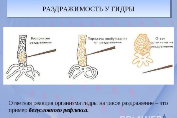 Кракен 13at