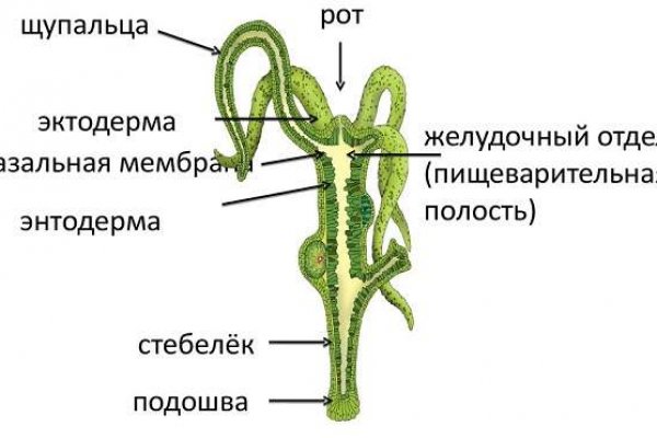 Найдется все kraken 2krn cc